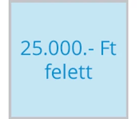 25.000.- Ft felett